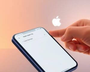 How To See Apple Pay Card Number