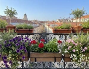 window boxes